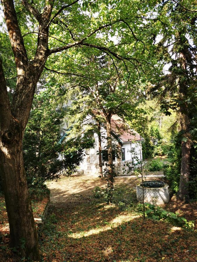 Irofeszek Vendeghaz Villa Zebegeny Exterior photo