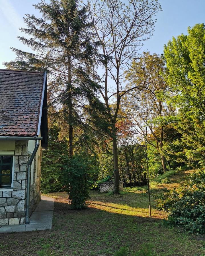 Irofeszek Vendeghaz Villa Zebegeny Exterior photo