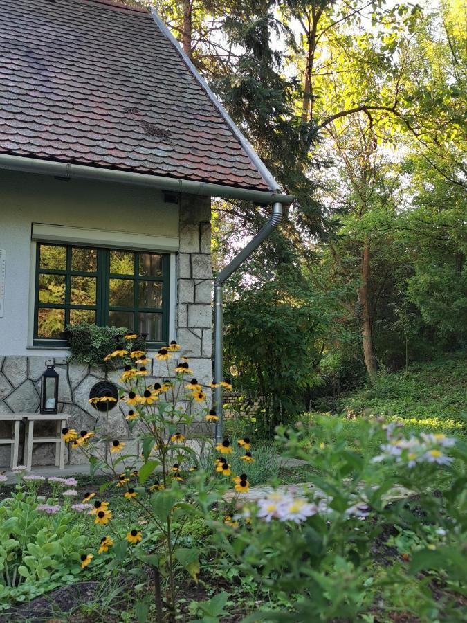 Irofeszek Vendeghaz Villa Zebegeny Exterior photo