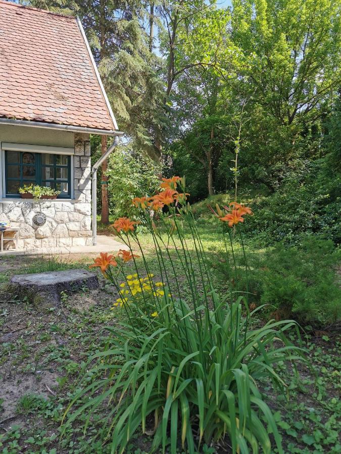 Irofeszek Vendeghaz Villa Zebegeny Exterior photo